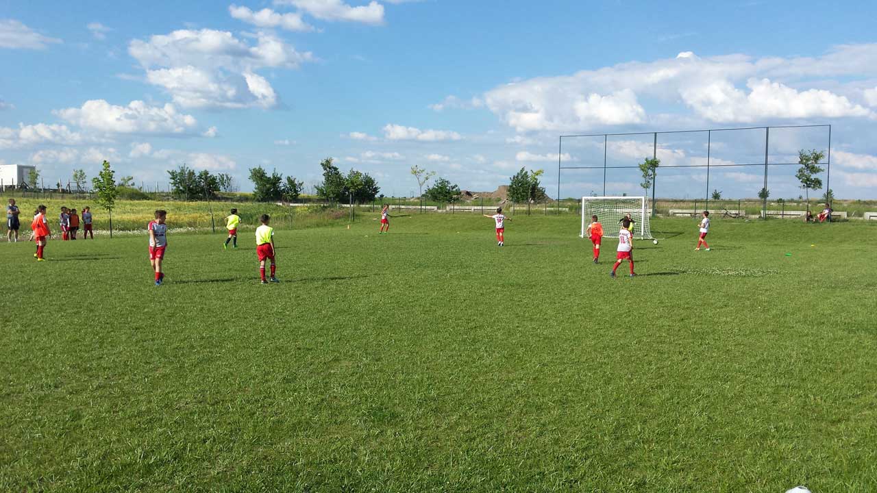 skola fudbala Lavovi 07-16