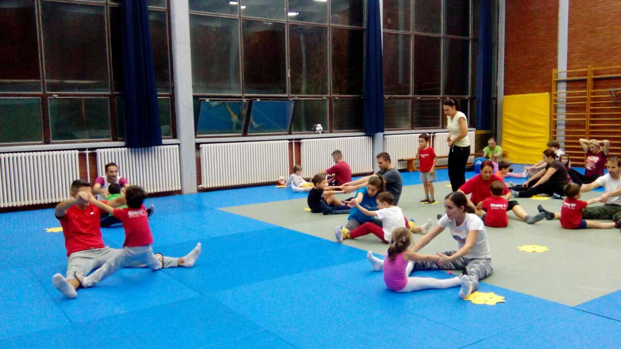 razvojna-gim-lavovi-07-17