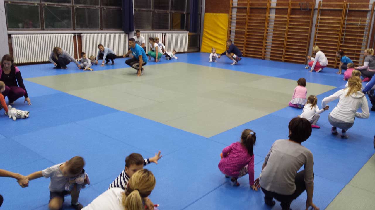 razvojna-gimnastika-novi-sad-lavovi-07-8