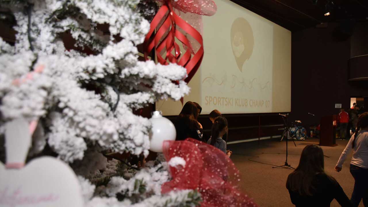 izbor-sportiste-2016-Lavovi-07--3