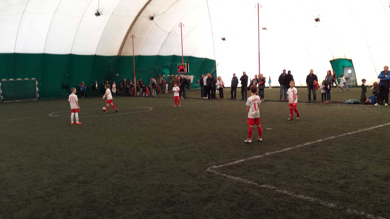 skola fudbala lavovi 07-9