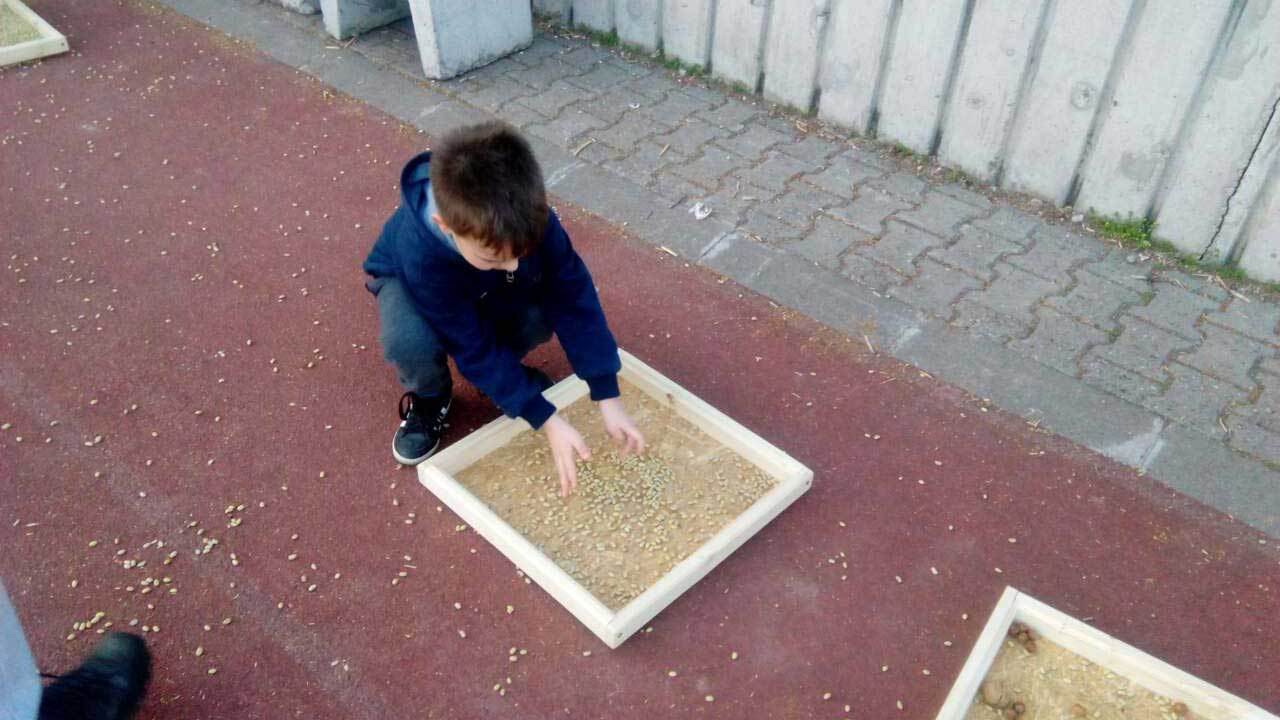 korektivno razvojna gimnastka lavovi 07 - 1