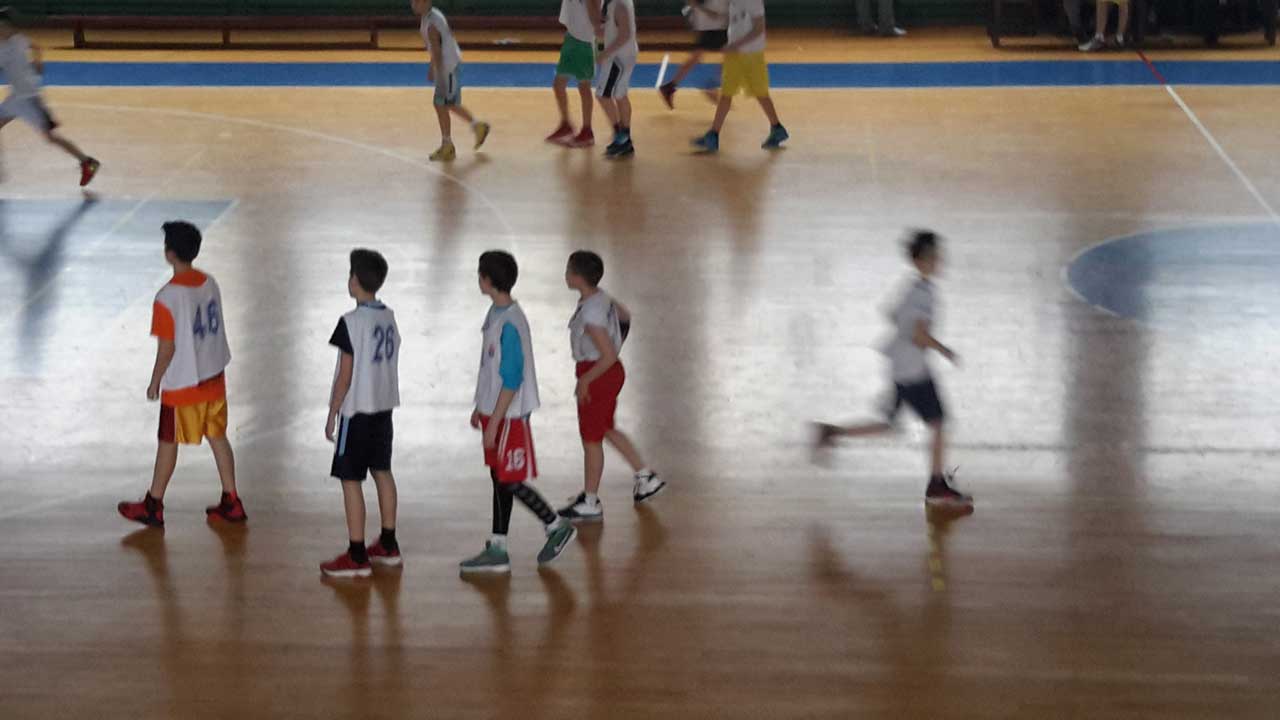 ovi Sad skola kosarke Lavovi 07 - 15