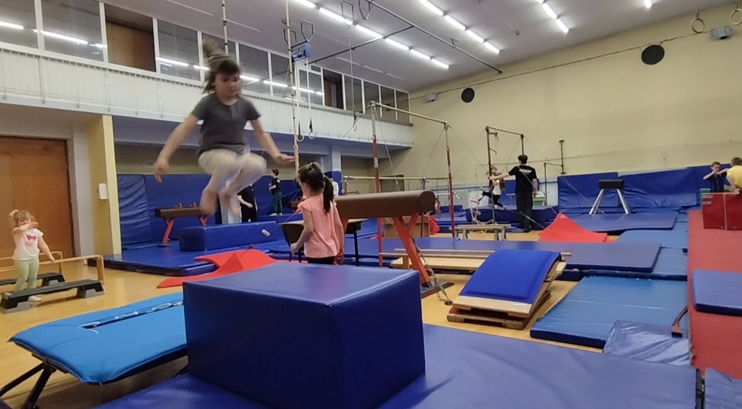 Korektivno-razvojna gimnastika