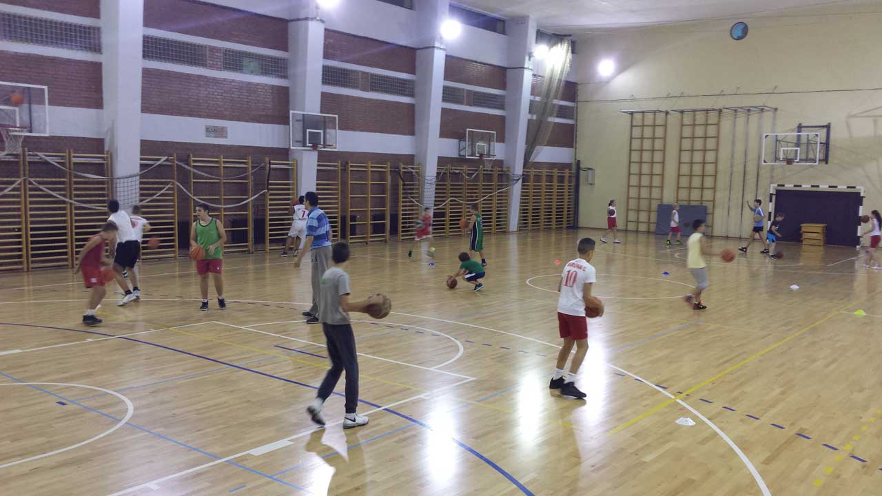 kosarka-lavovi-07-111